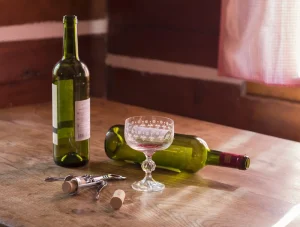 Is Alcoholism a Mental Illness or Chronic Disease?