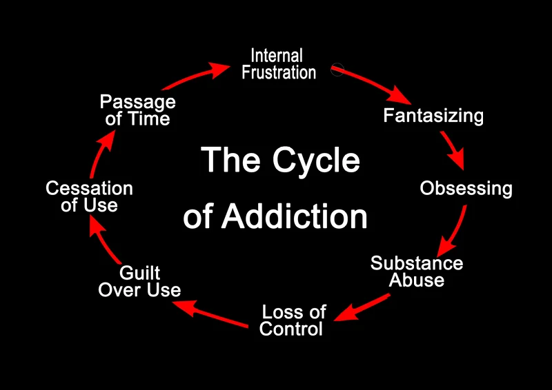 The Cycle of Addiction and How to Break It | EcoSoberHouse